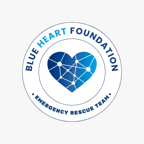 BLUE HEART FOUNDATION 